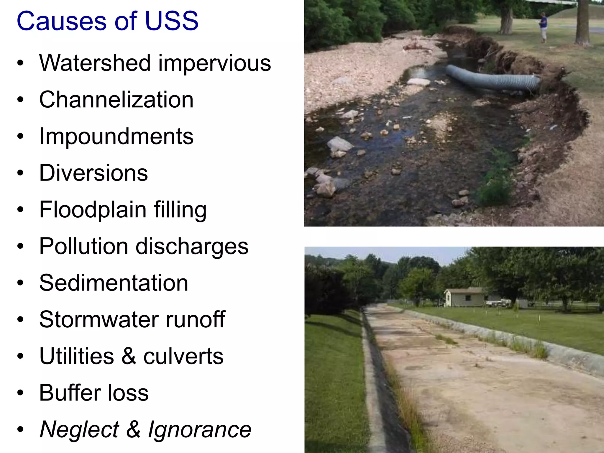 Causes of USS
• Watershed impervious
• Channelization
• Impoundments
• Diversions
• Floodplain filling
• Pollution discharges
• Sedimentation
• Stormwater runoff
• Utilities & culverts
• Buffer loss
• Neglect & Ignorance
 