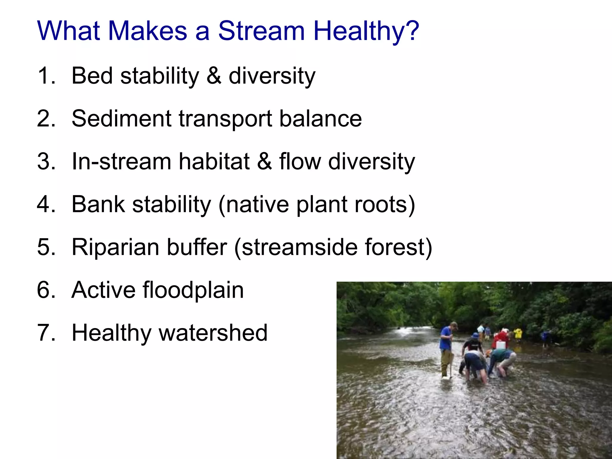 What Makes a Stream Healthy?
1. Bed stability & diversity
2. Sediment transport balance
3. In-stream habitat & flow diversity
4. Bank stability (native plant roots)
5. Riparian buffer (streamside forest)
6. Active floodplain
7. Healthy watershed
 