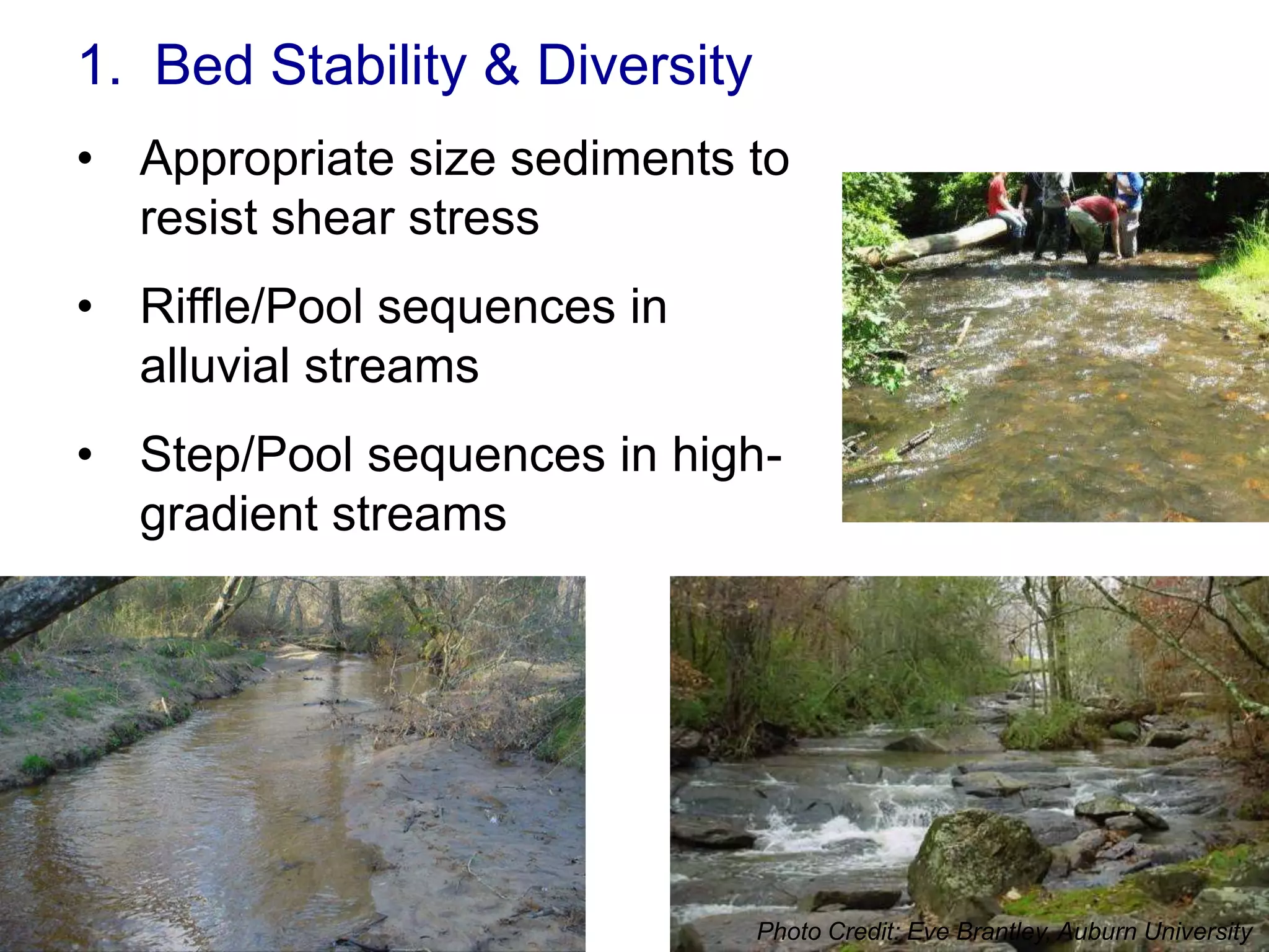 1. Bed Stability & Diversity
• Appropriate size sediments to
  resist shear stress
• Riffle/Pool sequences in
  alluvial streams
• Step/Pool sequences in high-
  gradient streams




                               Photo Credit: Eve Brantley, Auburn University
 