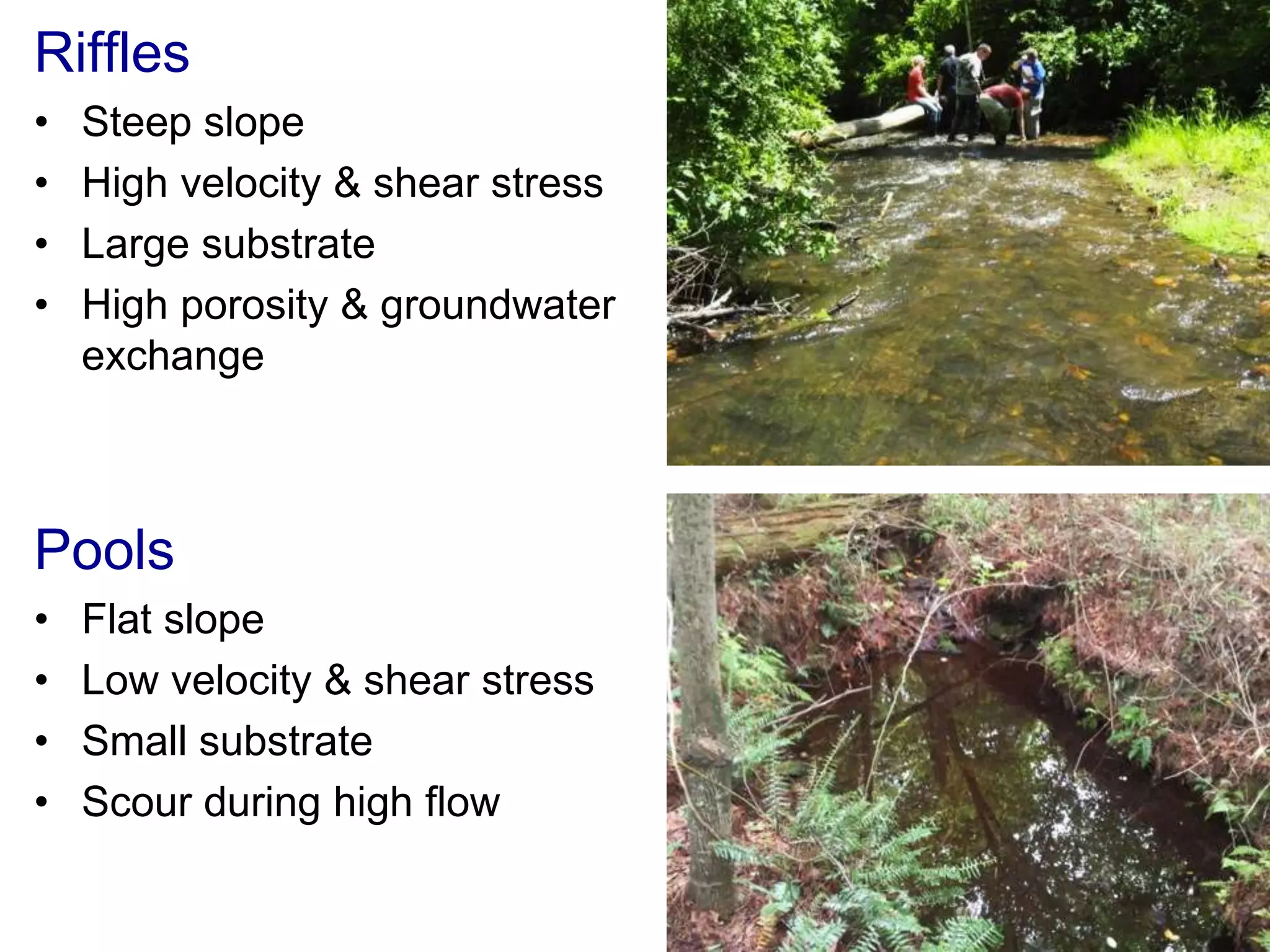 Riffles
•   Steep slope
•   High velocity & shear stress
•   Large substrate
•   High porosity & groundwater
    exchange



Pools
•   Flat slope
•   Low velocity & shear stress
•   Small substrate
•   Scour during high flow
 