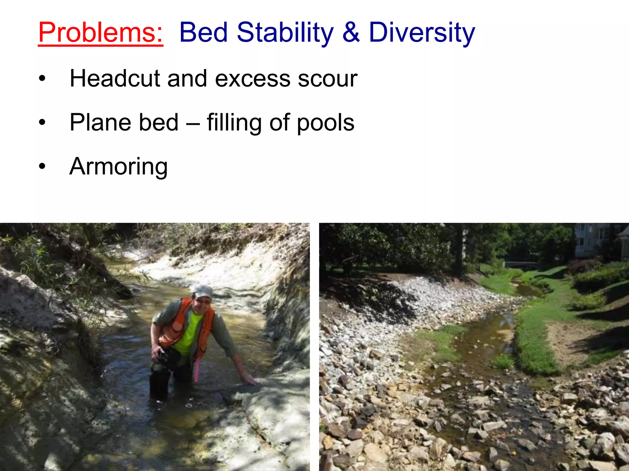 Problems: Bed Stability & Diversity
• Headcut and excess scour
• Plane bed – filling of pools
• Armoring
 