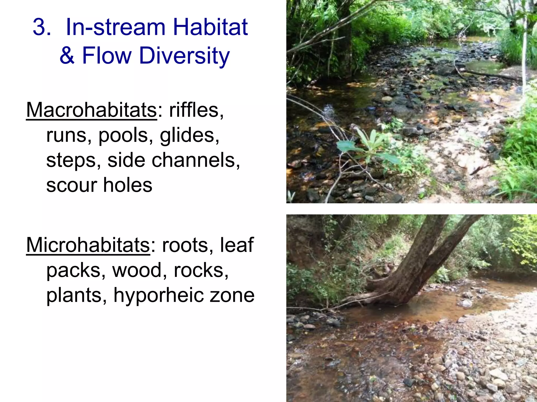3. In-stream Habitat
   & Flow Diversity

Macrohabitats: riffles,
 runs, pools, glides,
 steps, side channels,
 scour holes

Microhabitats: roots, leaf
  packs, wood, rocks,
  plants, hyporheic zone
 