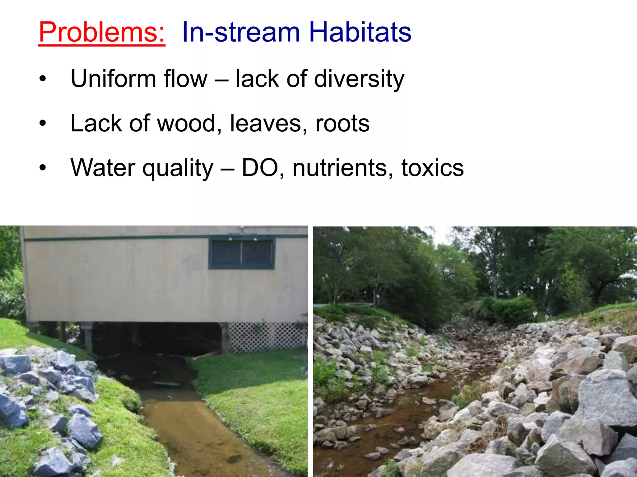 Problems: In-stream Habitats
• Uniform flow – lack of diversity
• Lack of wood, leaves, roots
• Water quality – DO, nutrients, toxics
 