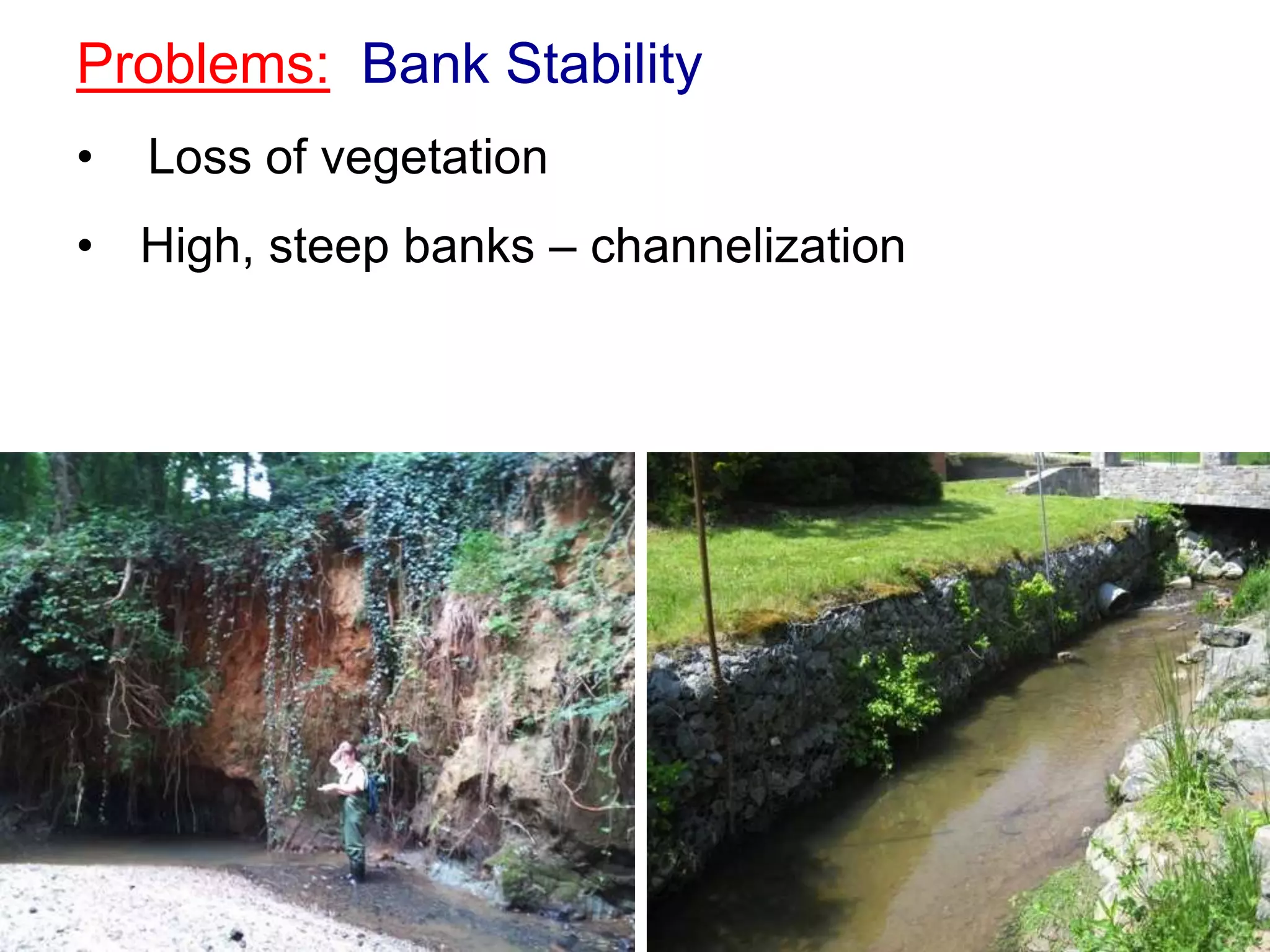 Problems: Bank Stability
•   Loss of vegetation
• High, steep banks – channelization
 