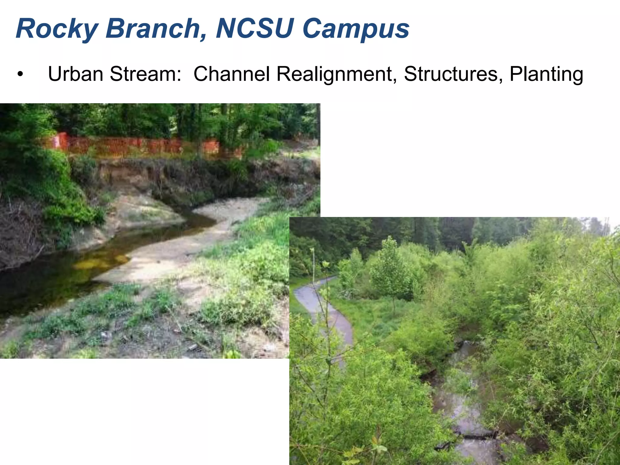 Rocky Branch, NCSU Campus
•   Urban Stream: Channel Realignment, Structures, Planting
 