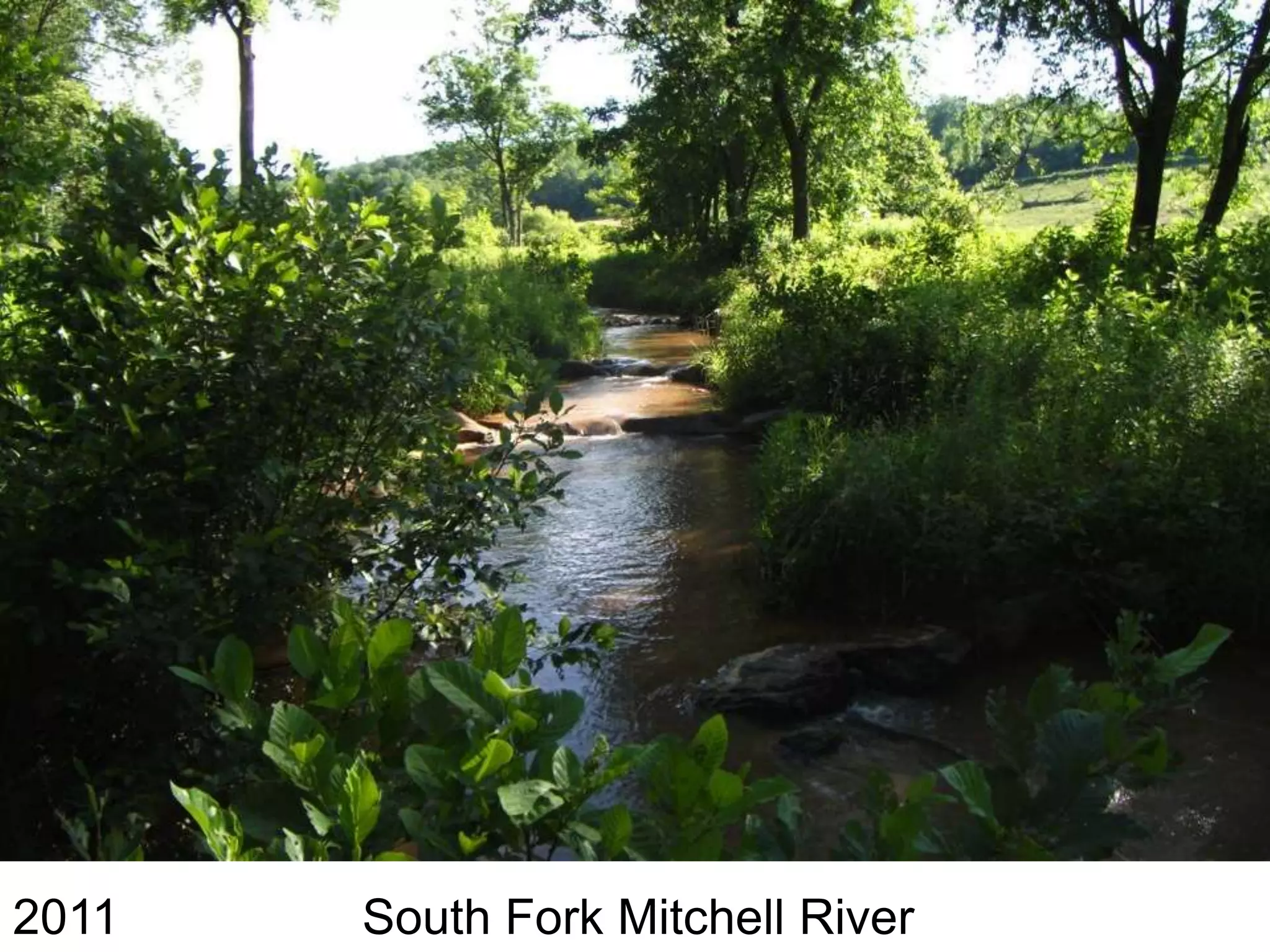 2011   South Fork Mitchell River
 