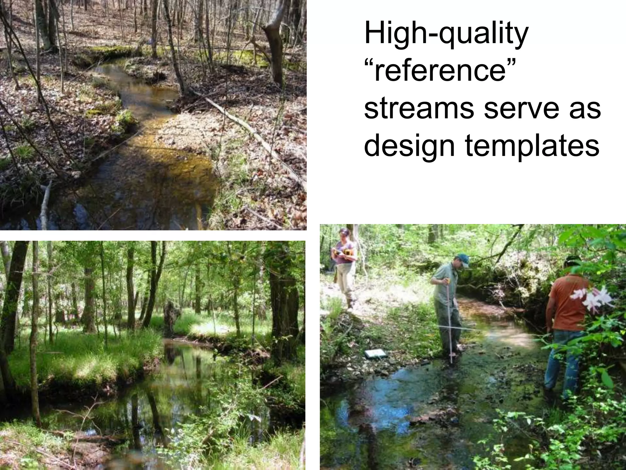 High-quality
“reference”
streams serve as
design templates
 