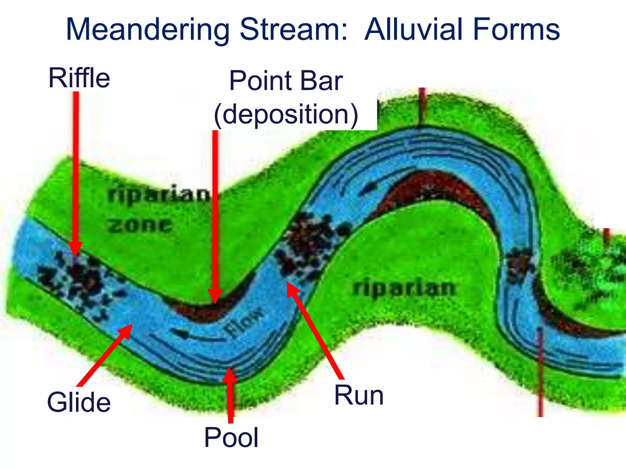 Meandering Stream: Alluvial Forms
Riffle     Point Bar
          (deposition)




Glide              Run
          Pool
 