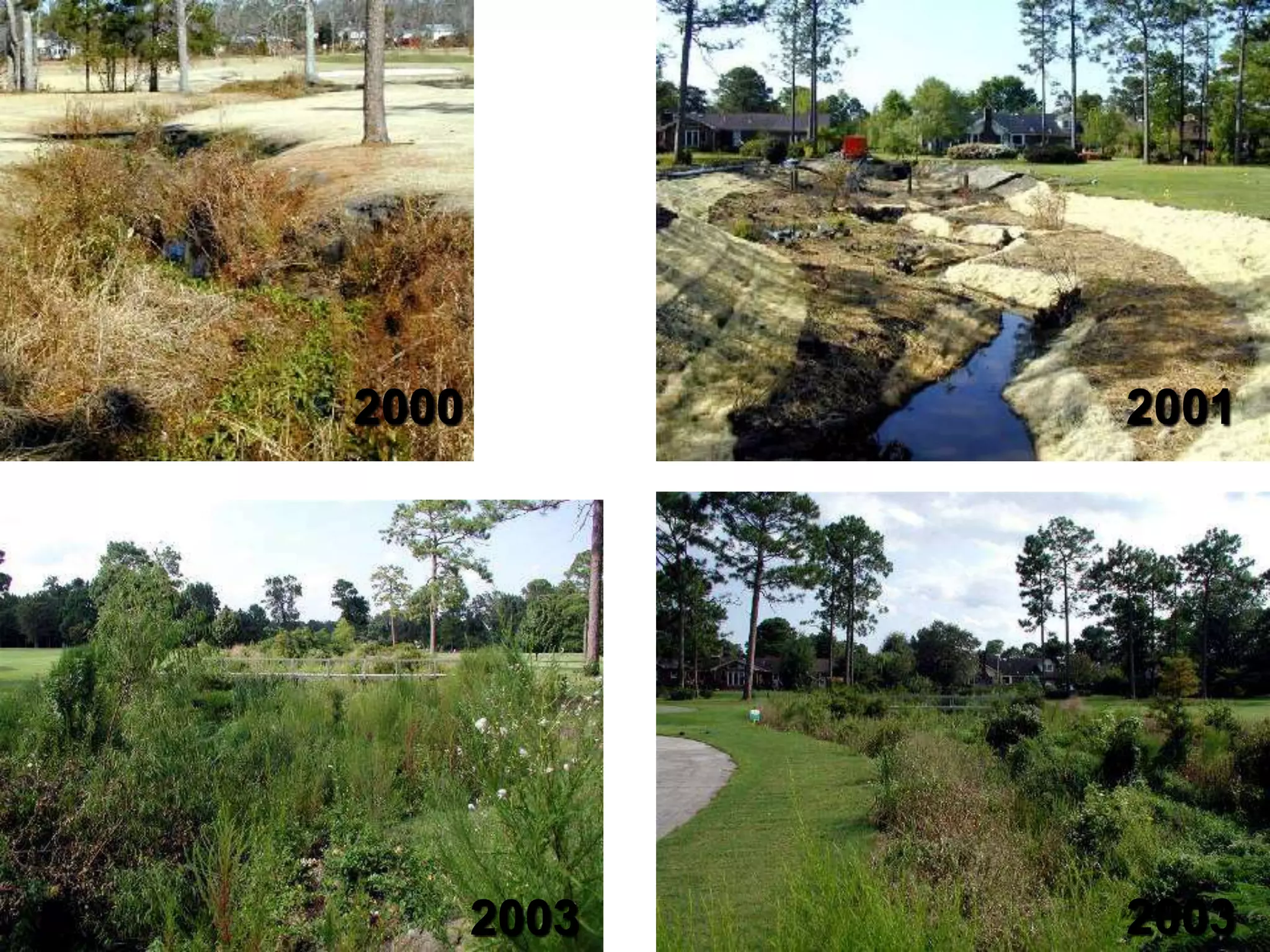 2000          2001




       2003   2003
 