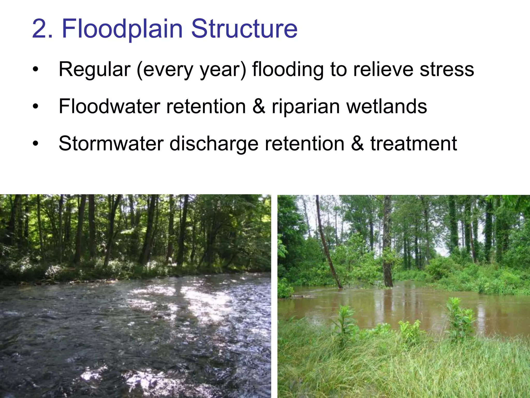2. Floodplain Structure
• Regular (every year) flooding to relieve stress
• Floodwater retention & riparian wetlands
• Stormwater discharge retention & treatment
 
