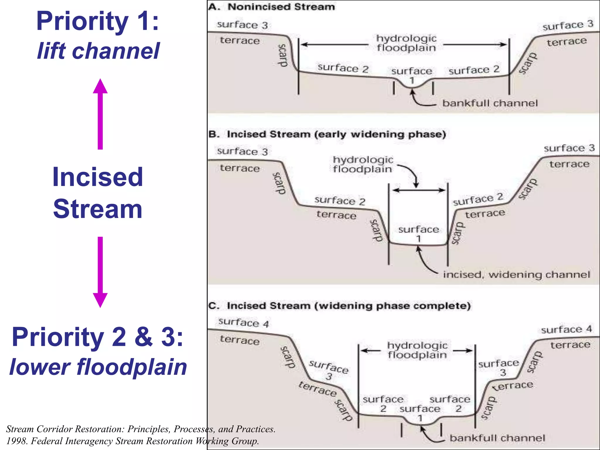 Priority 1:
       lift channel




           Incised
           Stream



 Priority 2 & 3:
lower floodplain

Stream Corridor Restoration: Principles, Processes, and Practices.
1998. Federal Interagency Stream Restoration Working Group.
 