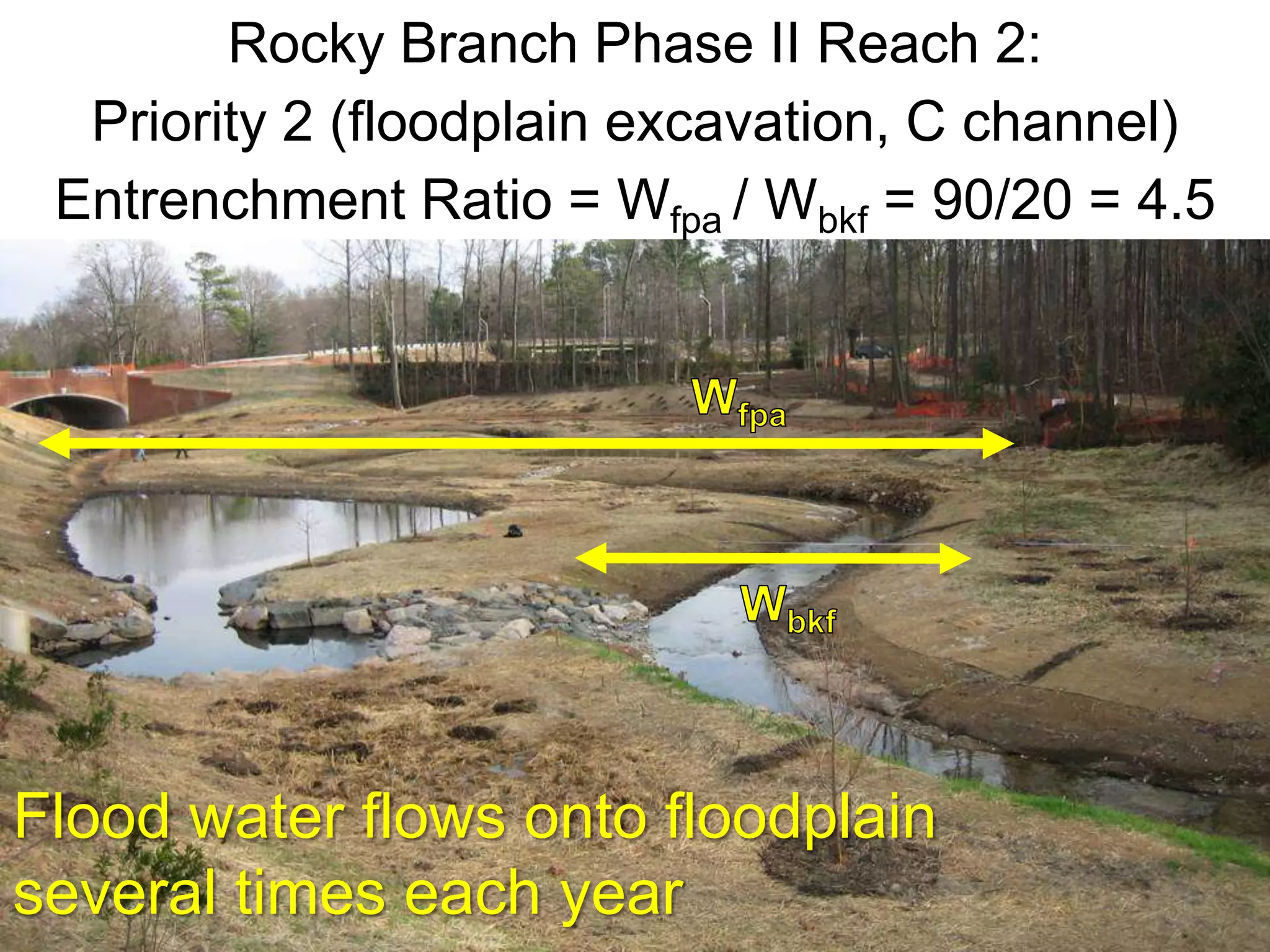 Rocky Branch Phase II Reach 2:
  Priority 2 (floodplain excavation, C channel)
 Entrenchment Ratio = Wfpa / Wbkf = 90/20 = 4.5




Flood water flows onto floodplain
several times each year
 