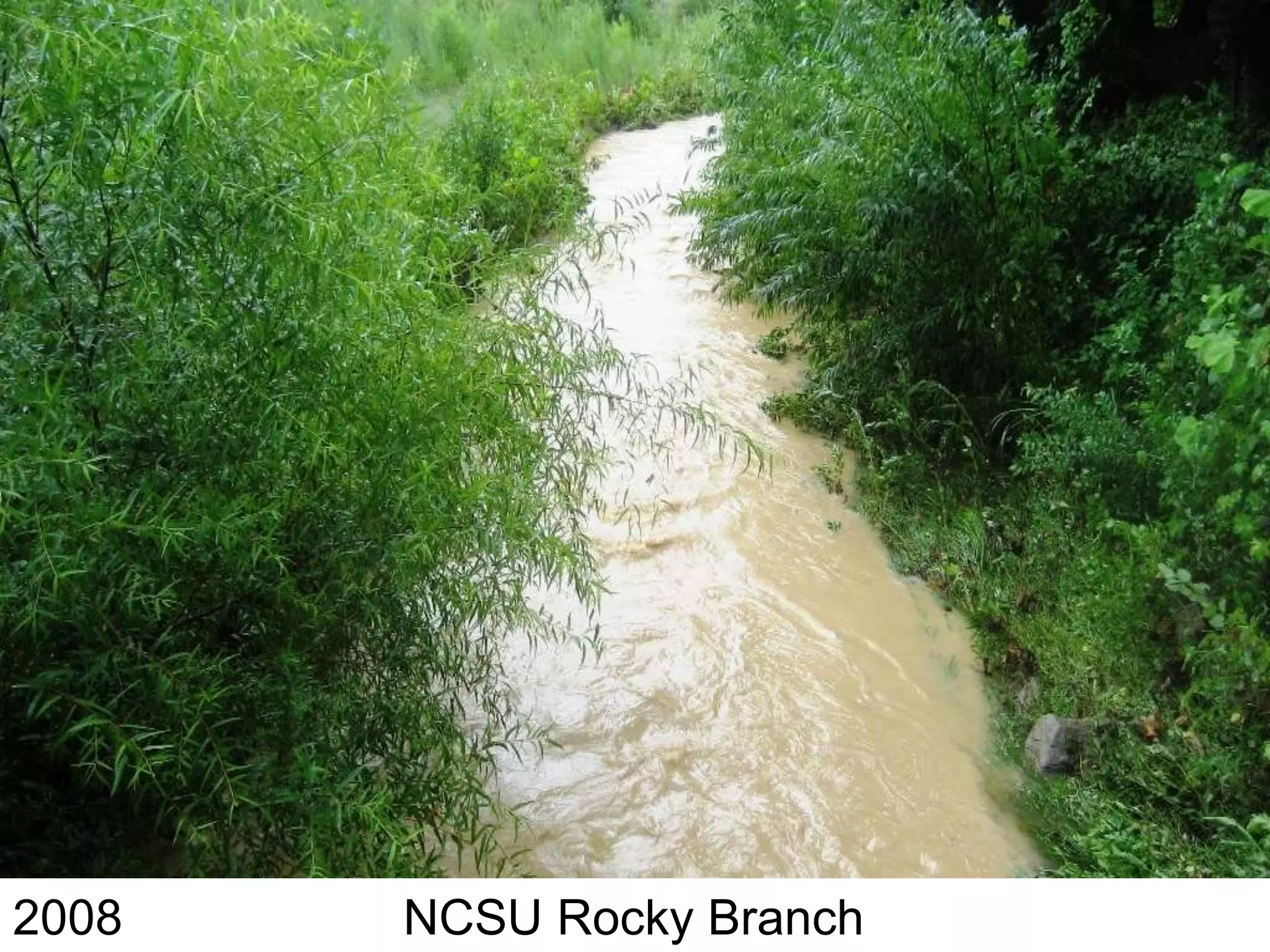 2008   NCSU Rocky Branch
 