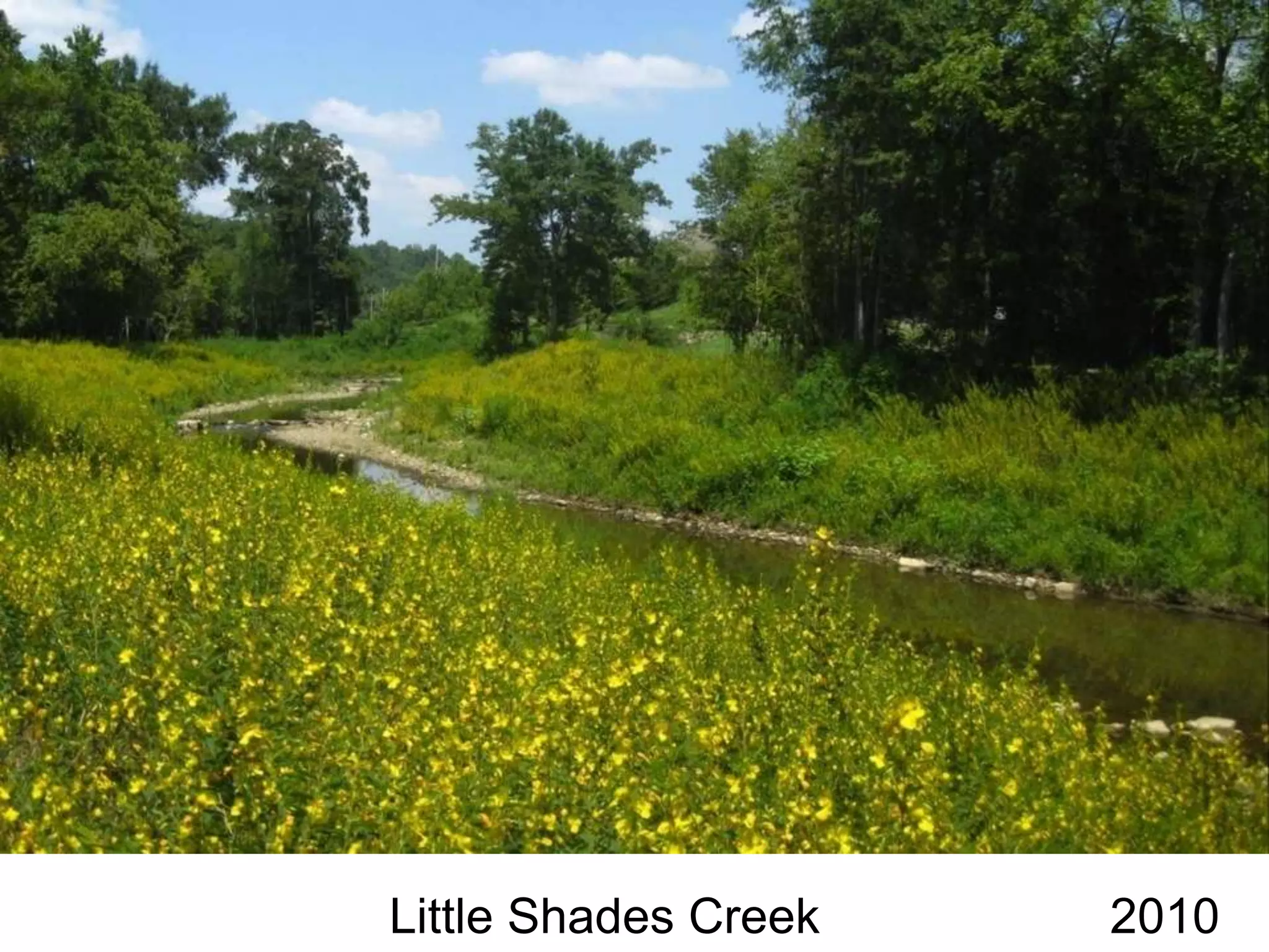 Little Shades Creek   2010
 