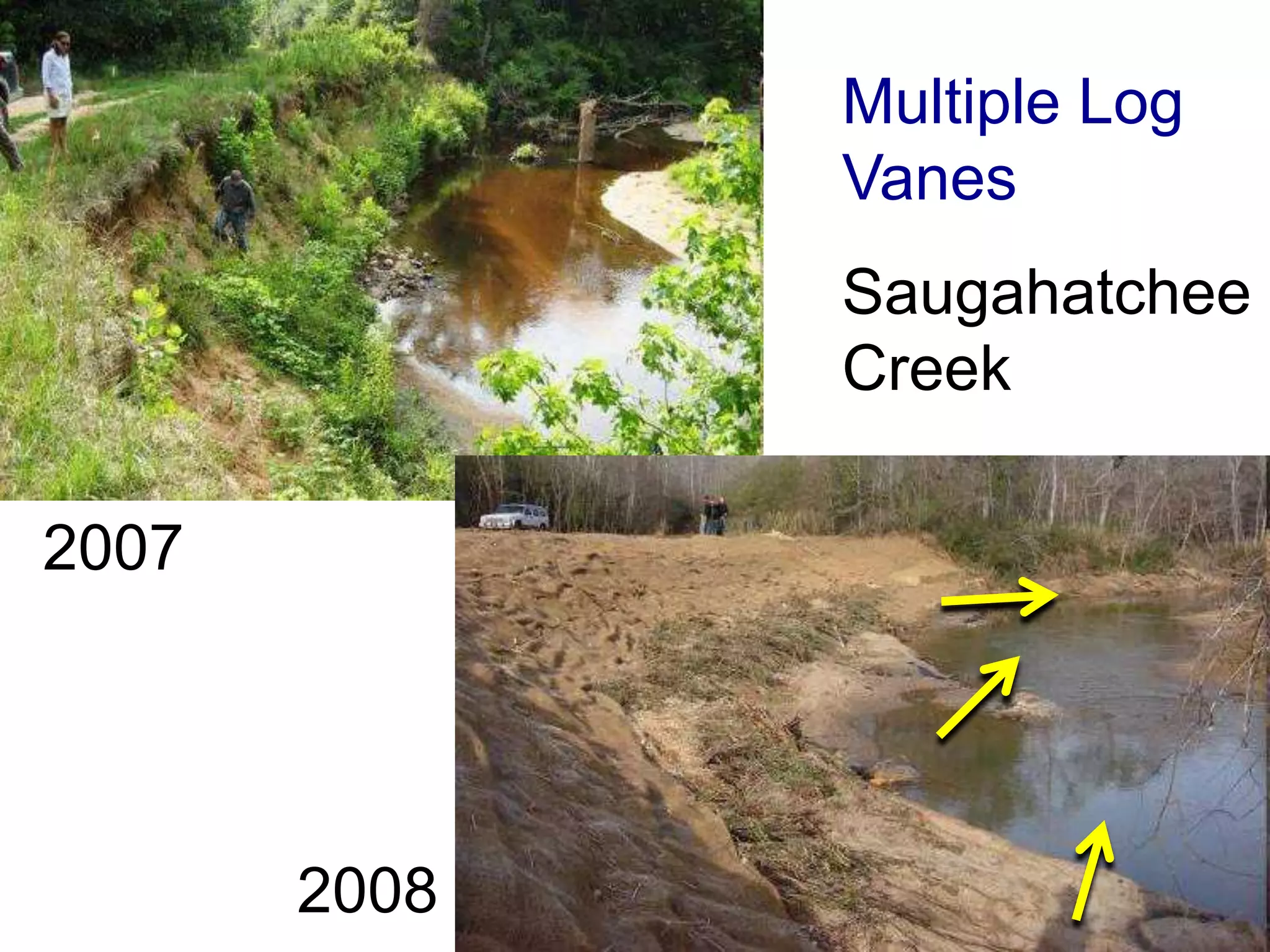 Multiple Log
              Vanes
              Saugahatchee
              Creek

2007




       2008
 