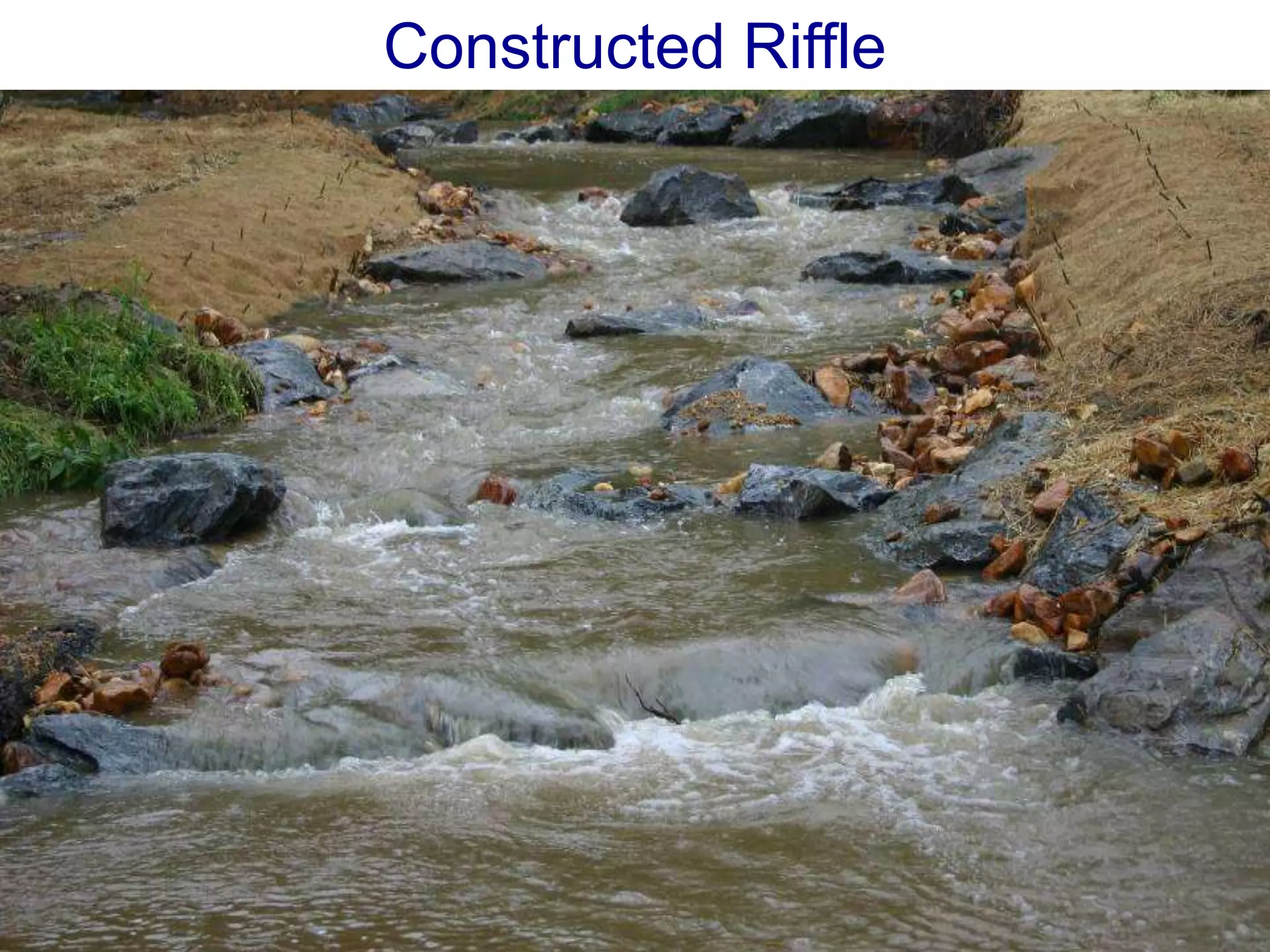 Constructed Riffle
 