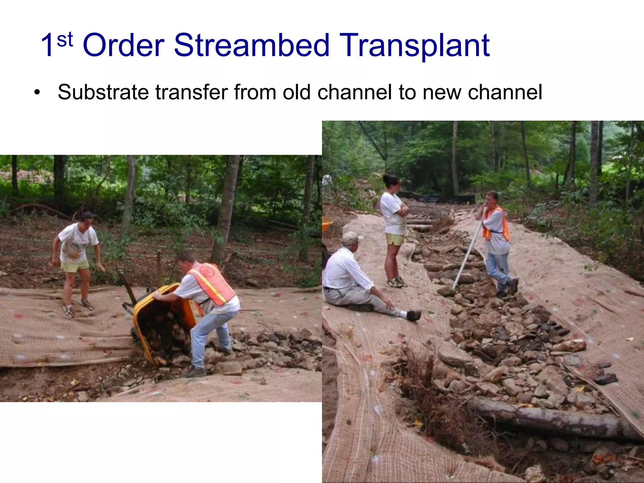 1st Order Streambed Transplant
• Substrate transfer from old channel to new channel
 