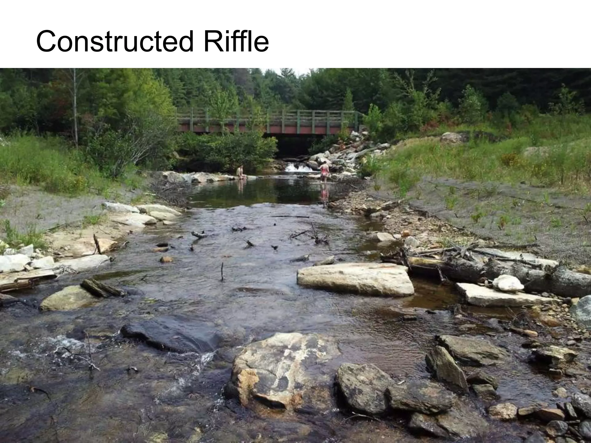 Constructed Riffle
• Undercut bed 2 ft and backfill with
  gravel, cobble, boulders, wood
• Cut thalweg 0.5 ft deep
 