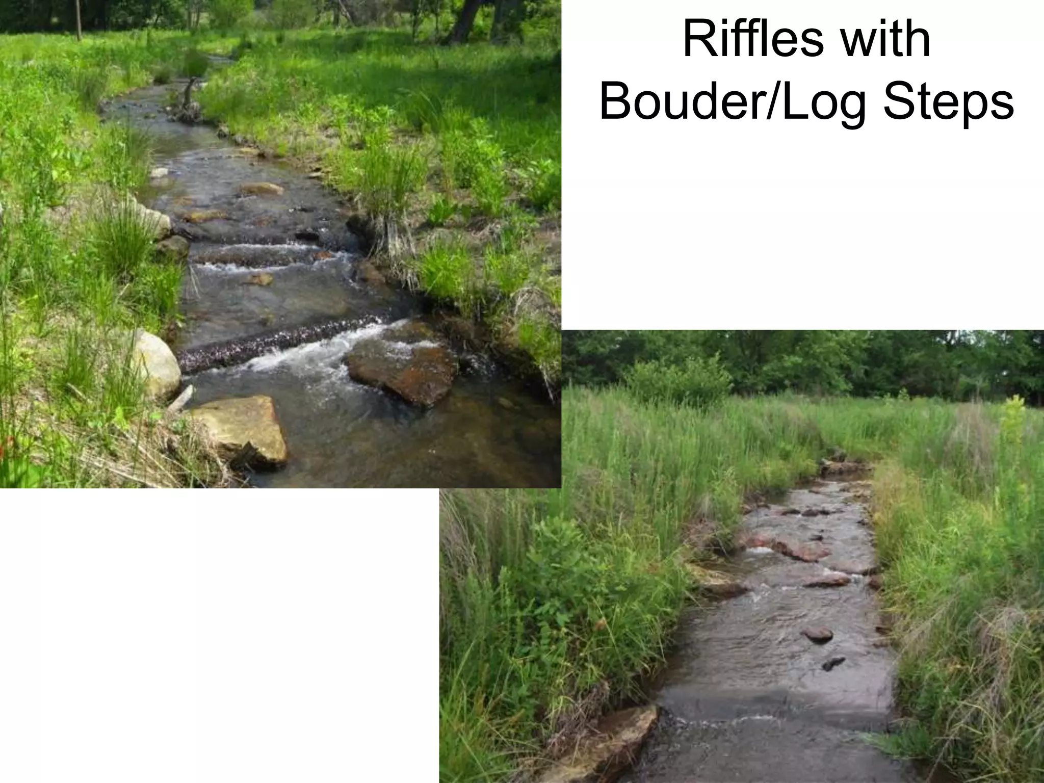 Riffles with
Bouder/Log Steps
 