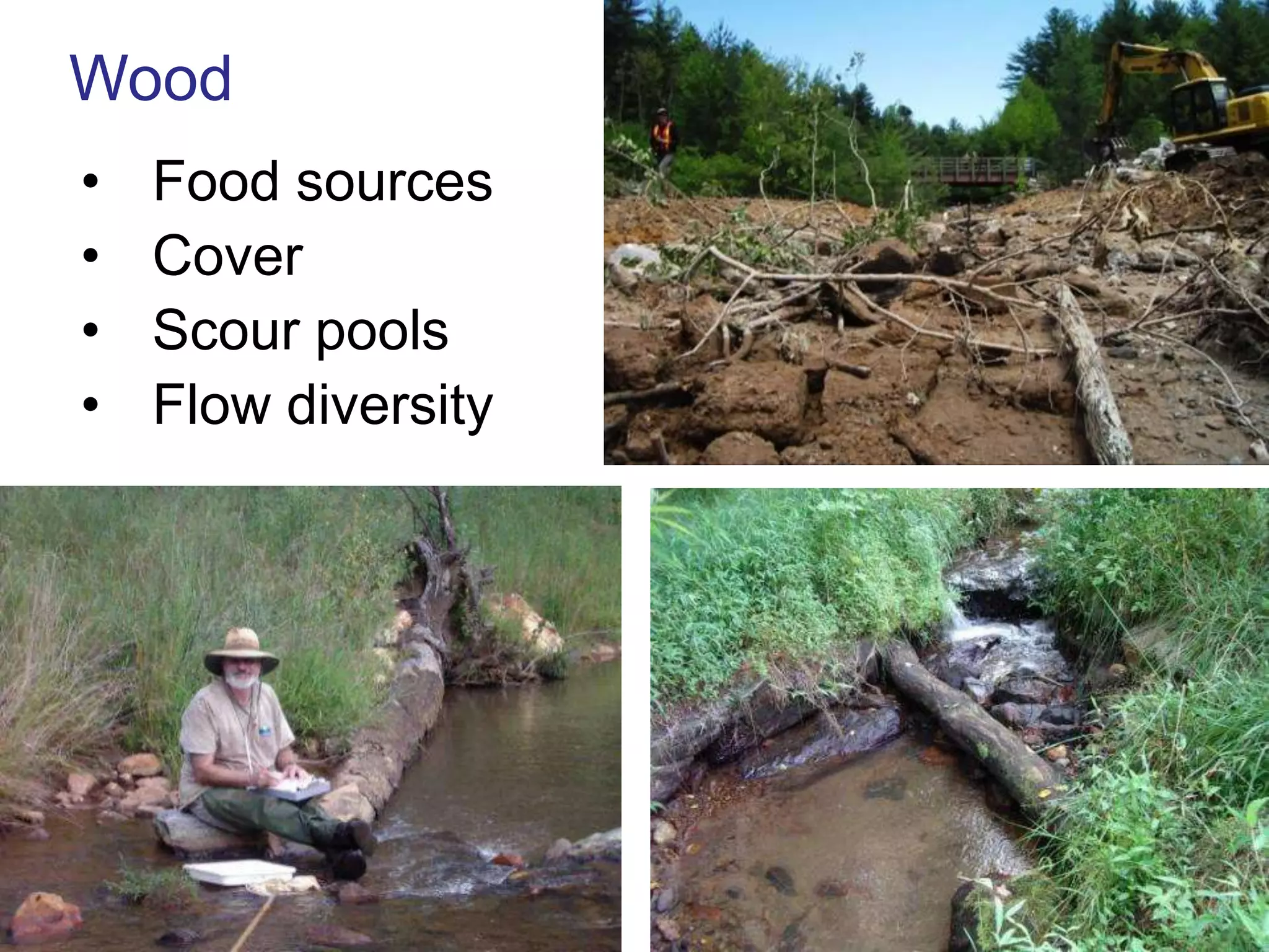 Wood
•   Food sources
•   Cover
•   Scour pools
•   Flow diversity
 