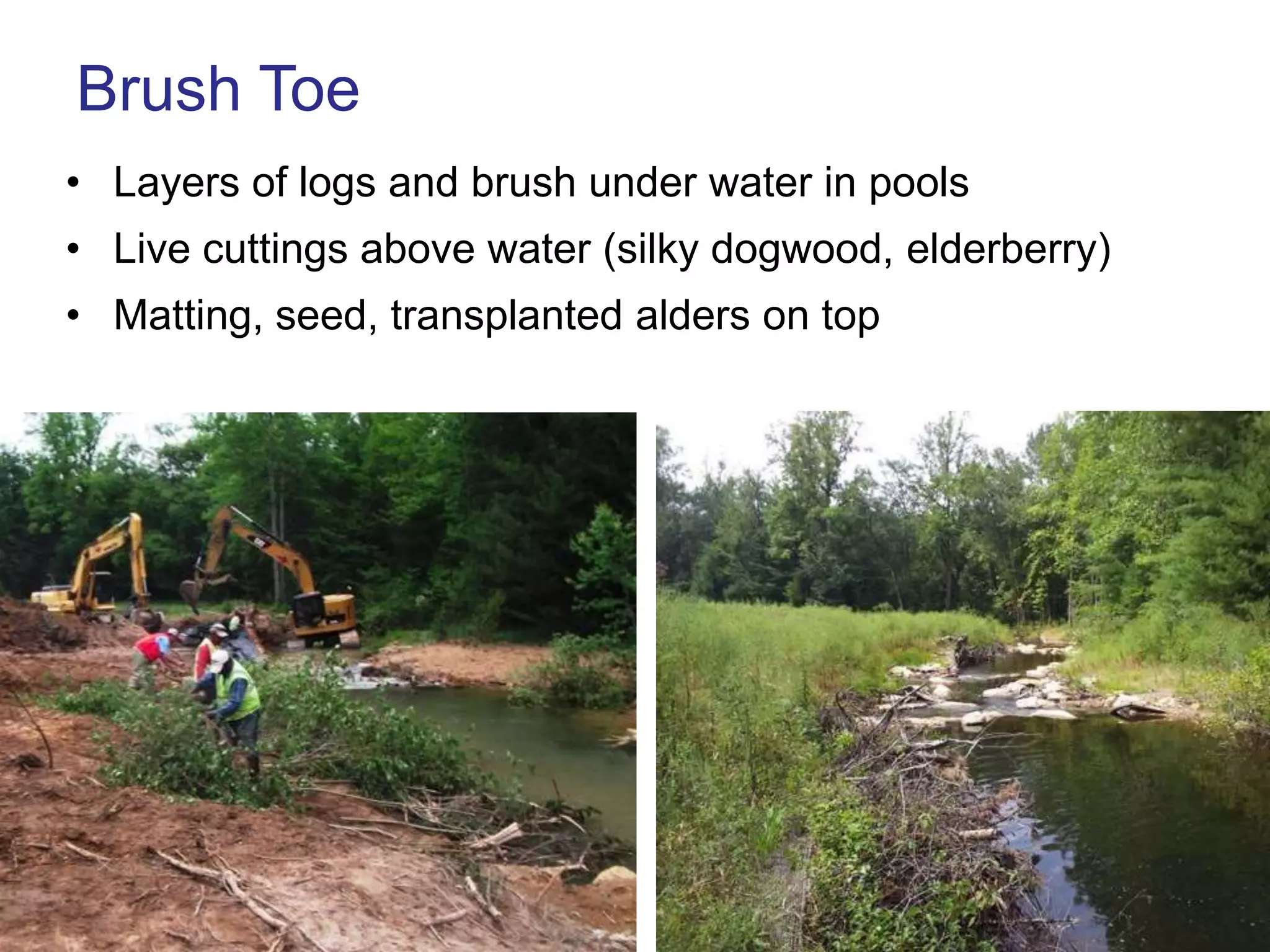 Brush Toe
• Layers of logs and brush under water in pools
• Live cuttings above water (silky dogwood, elderberry)
• Matting, seed, transplanted alders on top
 