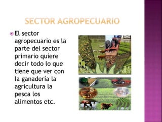  El sector
agropecuario es la
parte del sector
primario quiere
decir todo lo que
tiene que ver con
la ganadería la
agricultura la
pesca los
alimentos etc.
 