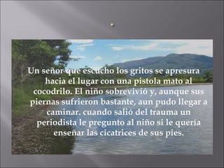 Un señor que escucho los gritos se apresura hacia el lugar con una pistola mato al cocodrilo. El niño sobrevivió y, aunque sus piernas sufrieron bastante, aun pudo llegar a caminar. cuando salió del trauma un periodista le pregunto al niño si le quería enseñar las cicatrices de sus pies. 