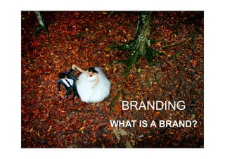 BRANDING
WHAT IS A BRAND?
 
