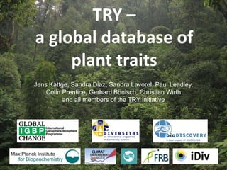 TRY – 
a global database of 
plant traits 
Jens Kattge, Sandra Diaz, Sandra Lavorel, Paul Leadley, 
Colin Prentice, Gerhard Bönisch, Christian Wirth 
and all members of the TRY initiative 
 