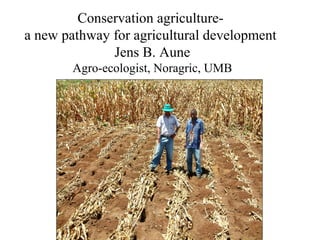 Conservation agriculture-
a new pathway for agricultural development
              Jens B. Aune
        Agro-ecologist, Noragric, UMB
 