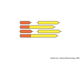 Korbel et al., Nature Biotechnology, 2004

 