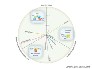 Jensen & Bork, Science, 2008

 