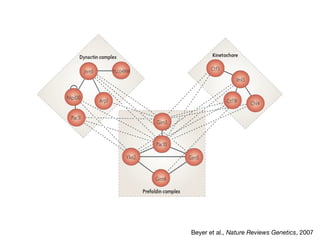 Beyer et al., Nature Reviews Genetics, 2007

 