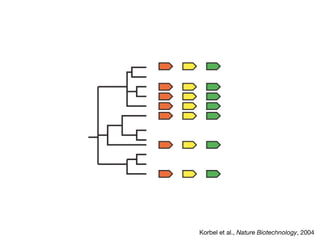 Korbel et al., Nature Biotechnology, 2004