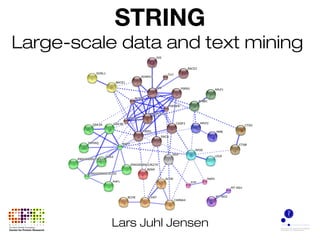 STRING 
Large-scale data and text mining 
Lars Juhl Jensen 
 
