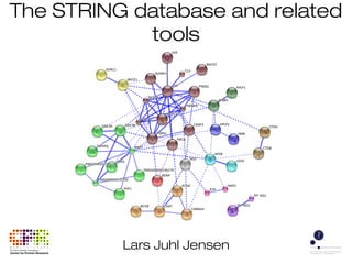 The STRING database and related 
tools 
Lars Juhl Jensen 
 