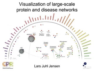 Visualization of large-scale 
protein and disease networks 
Lars Juhl Jensen 
 