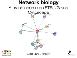 Network biology
A crash course on STRING and
Cytoscape
Lars Juhl Jensen
 