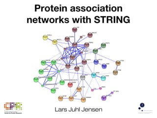 Protein association
networks with STRING
Lars Juhl Jensen
 