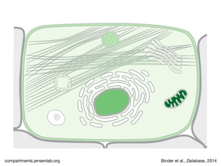 Binder et al., Database, 2014compartments.jensenlab.org
 