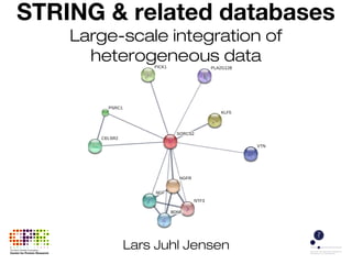 Lars Juhl Jensen
STRING & related databases
Large-scale integration of
heterogeneous data
 