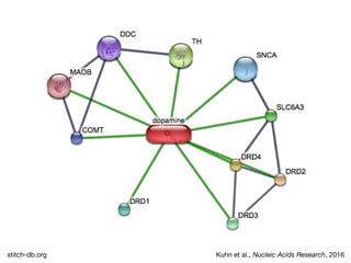 Kuhn et al., Nucleic Acids Research, 2016stitch-db.org
 