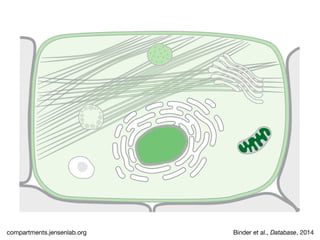 Binder et al., Database, 2014compartments.jensenlab.org
 