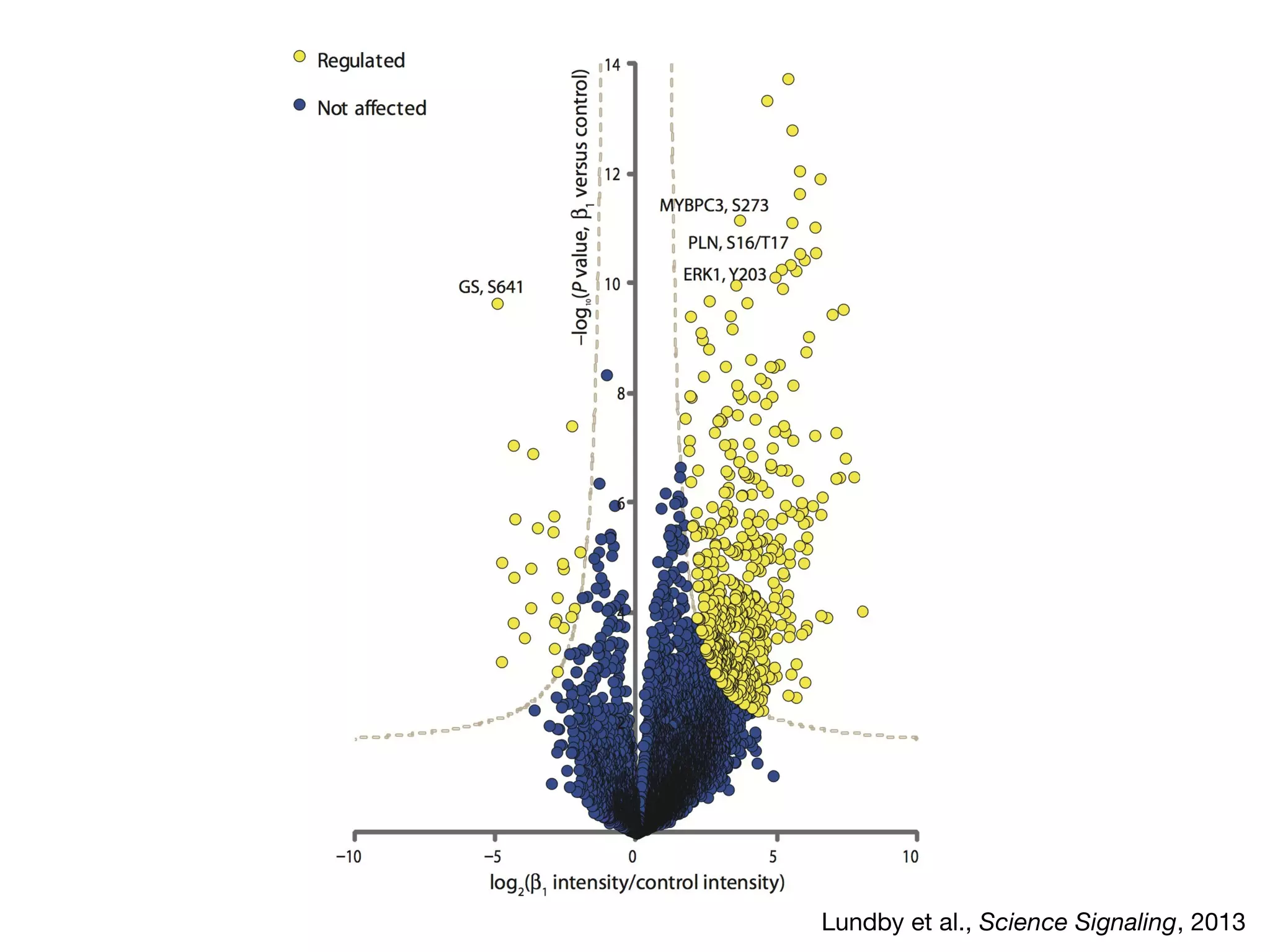 Lundby et al., Science Signaling, 2013