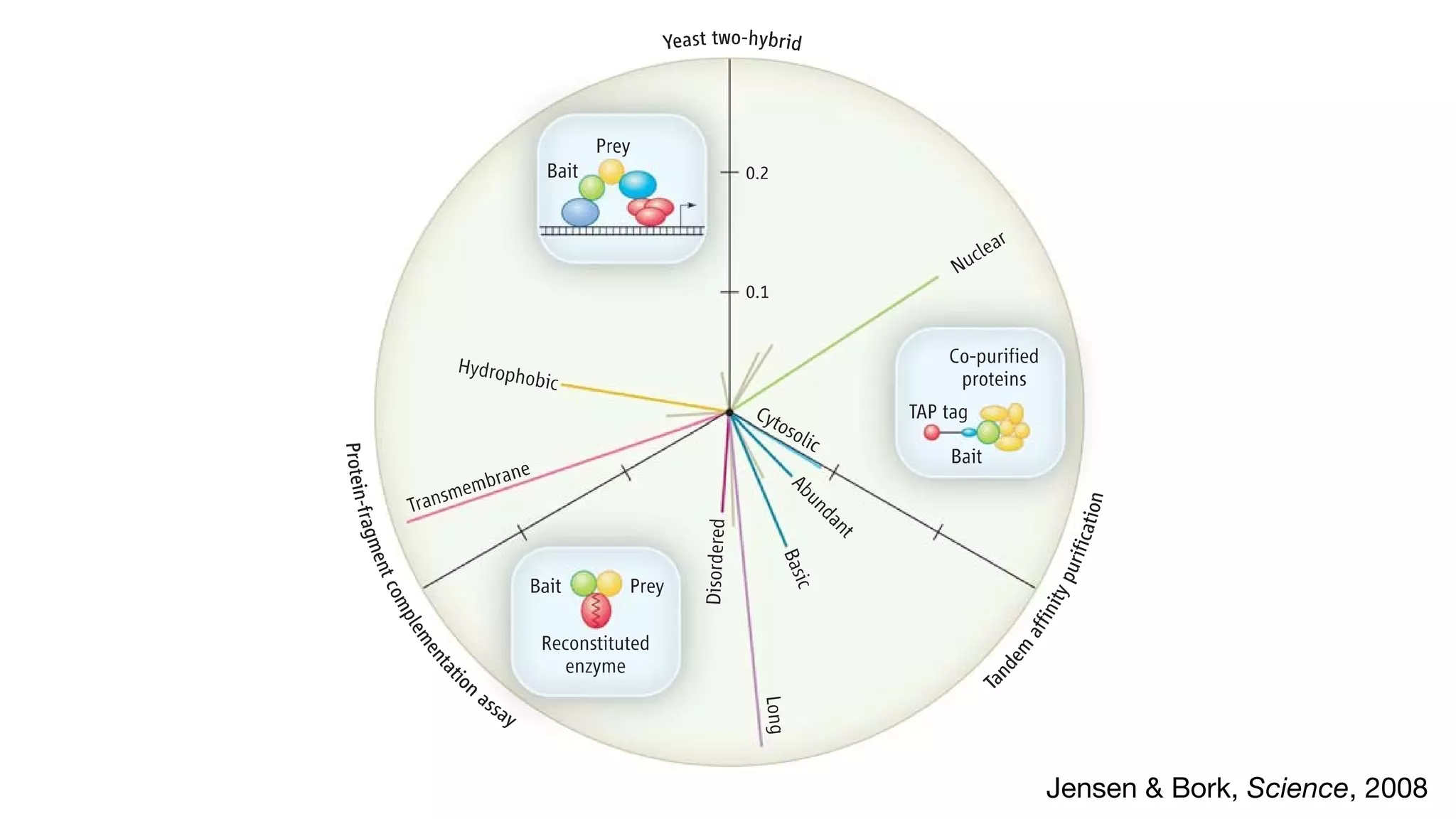 Jensen & Bork, Science, 2008
 