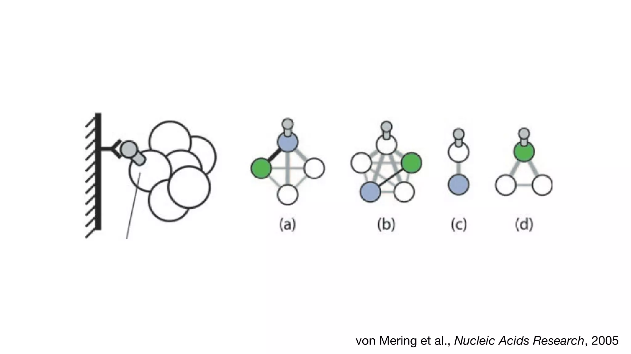 von Mering et al., Nucleic Acids Research, 2005
 