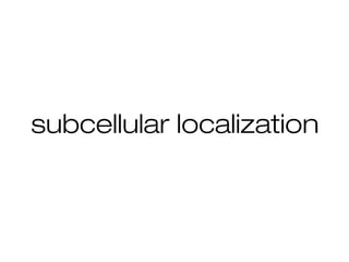 subcellular localization
 