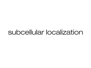 subcellular localization
 
