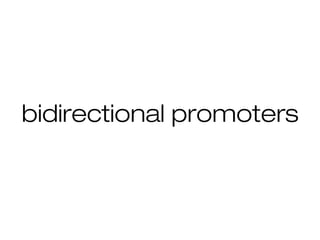 bidirectional promoters
 