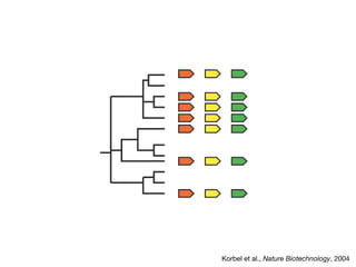 Korbel et al., Nature Biotechnology, 2004
 